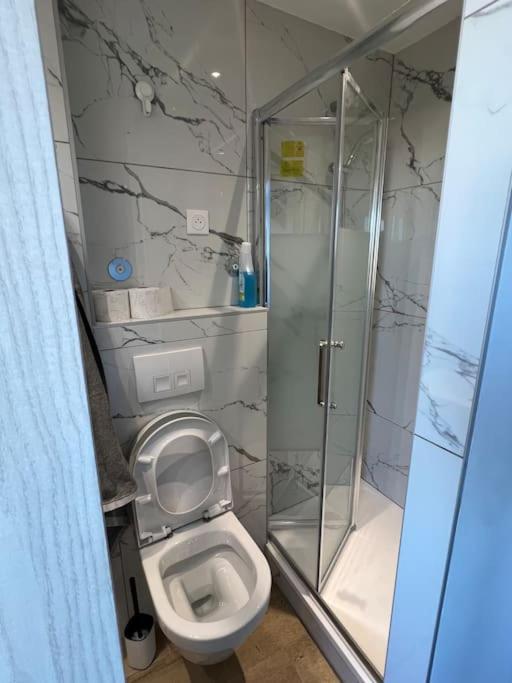 Super Studio En Face De La Gare De Mulhouse Apartman Kültér fotó